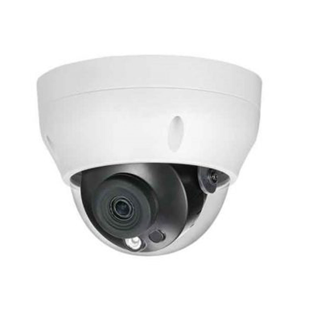 Camera IP Dahua DS2230RDIP-S2 (2.0 MP, Ống kính 3.6mm, Tầm xa hồng ngoại 30m, Chế độ ngày/đêm, IP67)