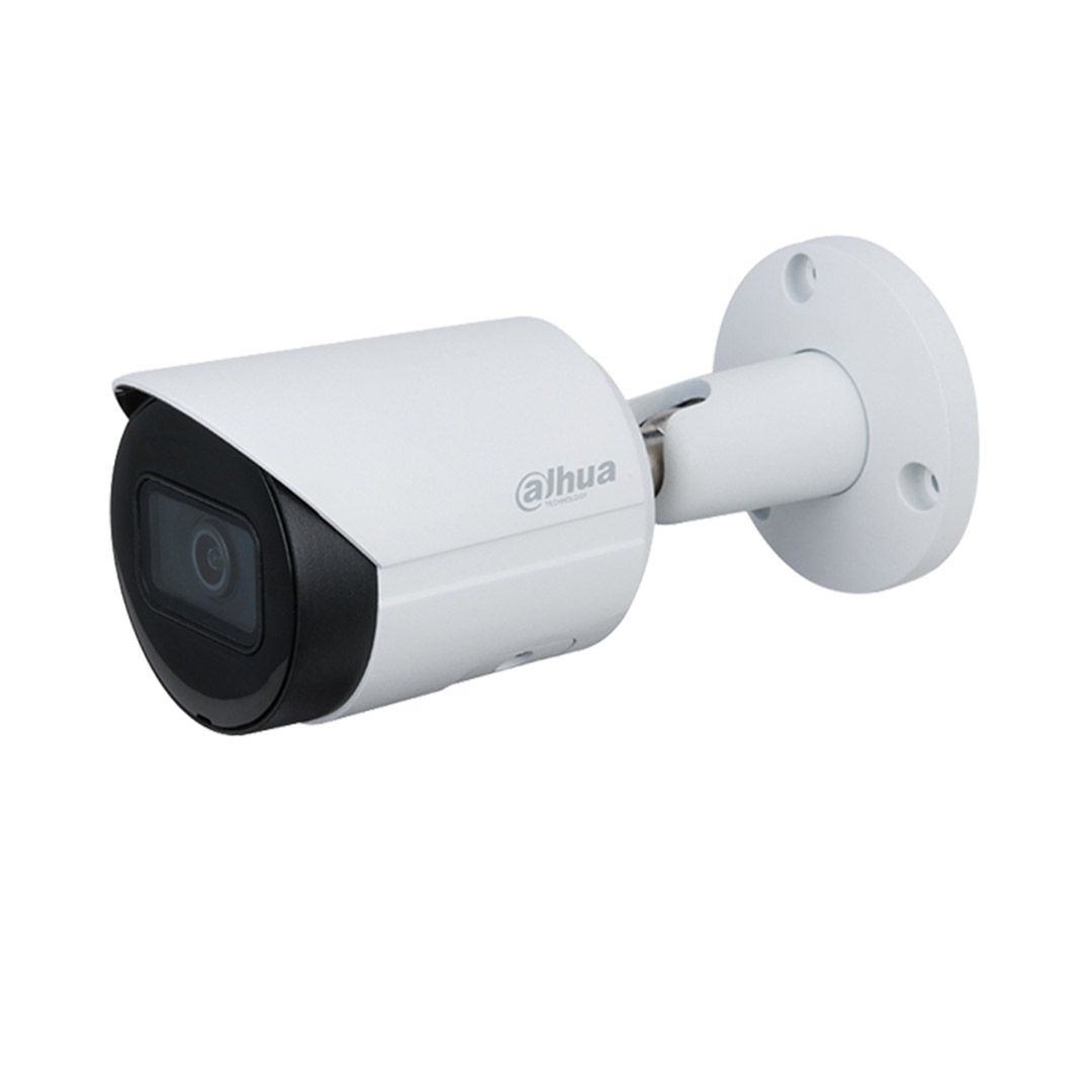 Camera IP Dahua DH-IPC-HFW2230SP-S-S2 (2.0 MP, Ống kính 3.6mm, Tầm xa hồng ngoại 30m, Chế độ ngày/đêm, IP67)